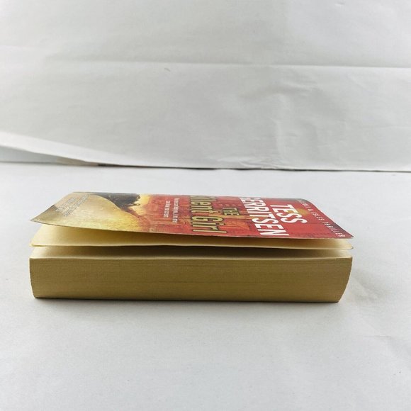 The Silent Girl By Tess Gerritsen Mystery Fiction Small Paperback Book - Picture 6 of 8